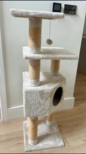 Beige large cat for sale  WIRRAL