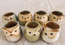 Set owl succulent for sale  Phoenix
