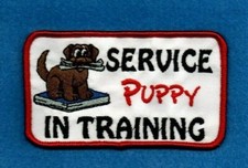 Service puppy training for sale  Cassville