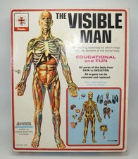 Renwal visible man for sale  Laguna Niguel