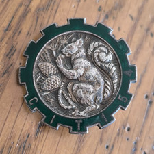 Insigne 154 cit d'occasion  Saint-Pierre-d'Oléron