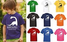 CAMISETA DINOSSAURO INFANTIL PERSONALIZADA QUALQUER NOME - PRESENTE DE ANIVERSÁRIO MENINOS MENINAS JURASSIC comprar usado  Enviando para Brazil