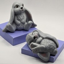 Gray lop ear for sale  Huntsville