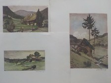 Carl rang bunte gebraucht kaufen  Deutschland