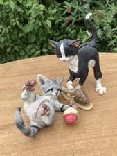 Country artists cat for sale  TAMWORTH