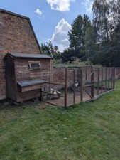 Chicken coop fencing for sale  YORK