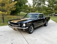 beautiful mustang for sale beautiful mustang for sale Cincinnati