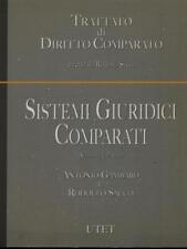 Sistemi giuridici comparati usato  Italia