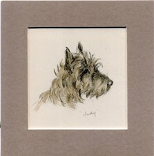 Lucy dawson cairn for sale  SPALDING