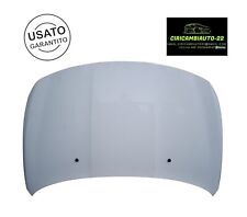 Cofano anteriore fiat usato  Rosarno