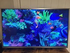 sony bravia 32 for sale sony bravia 32 for sale HIGH PEAK