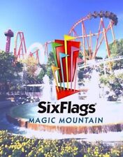 Flags magic mountain d'occasion  Expédié en Belgium
