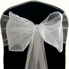 131 silver organza for sale  LINCOLN