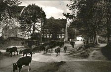 Buntenbock damenkapelle gebraucht kaufen Buntenbock damenkapelle gebraucht kaufen  Deutschland