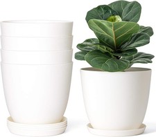 plants plastice pots for sale plants plastice pots for sale Houston