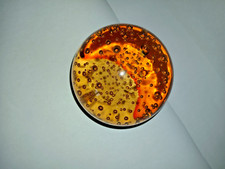 Vintage hand blown for sale  LEICESTER