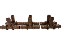 Packrain bird inch for sale  Gonzales
