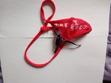 String porte d'occasion  Saint-Sylvain-d'Anjou