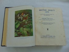 British insect life for sale  SWADLINCOTE