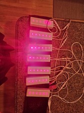 Strawberry lipo laser for sale  Denver