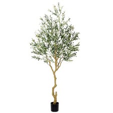 Tall faux olive for sale  Brentwood
