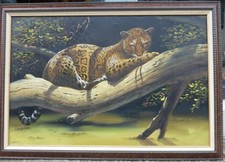 Leopard resting spotted for sale  UK