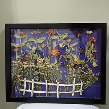 Framed pressed dried for sale  Crestwood