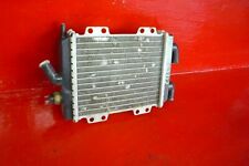 Radiatore peugeot 125 usato  Massa di Somma