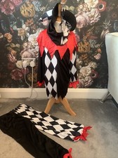 jester costume for sale  GRAYS