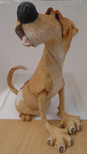 Country artists breed for sale  WESTON-SUPER-MARE