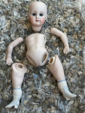 mignonette for sale mignonette for sale Chardon