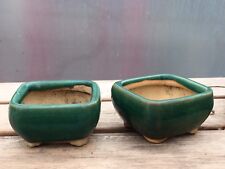 Two vintage bonsai for sale  LONDON