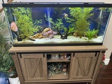 Fully functional discus for sale  Phoenix