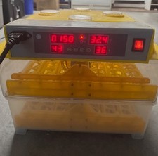 Multi layer egg for sale  Roseville