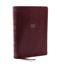 Kjv ffene bibel gebraucht kaufen  Trebbin