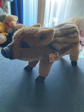 Kösener frischling schwein gebraucht kaufen  Regensburg