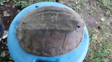 Snapping turtle shell. for sale  Nabb