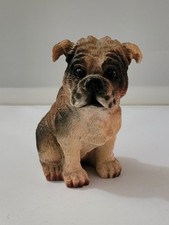 English bulldog pup for sale  Cortland