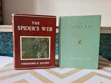 Spider web theodore for sale  GLASGOW