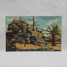 Monkey island chicago for sale  Woodstock