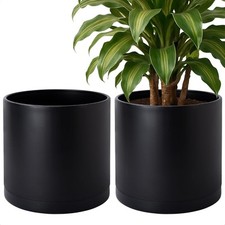 Vine dev pack for sale  San Francisco