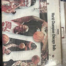 Champion chicago bulls for sale  Corona