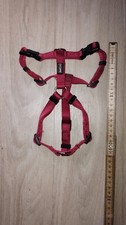 Hundegeschirr rot kleine gebraucht kaufen Hundegeschirr rot kleine gebraucht kaufen  Aurich