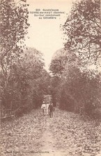 Guadeloupe terre sentier d'occasion  France