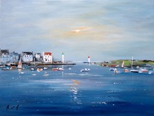 Bretagne. belle île d'occasion  Plonéour-Lanvern