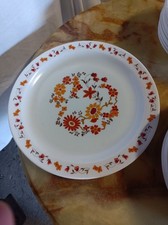 Plat plat vintage d'occasion  Buzançais