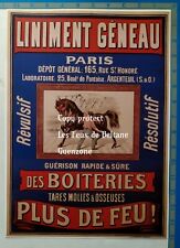 Liniment geneau remede d'occasion  Beaumont-de-Lomagne