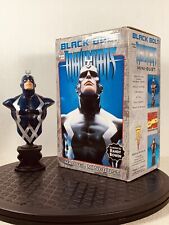 Black bolt bust for sale  Missouri City