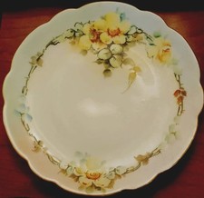 Hand painted porcelain for sale  Asheville