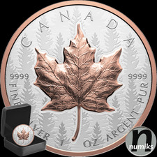 Maple leaf vergoldet gebraucht kaufen  Ansbach